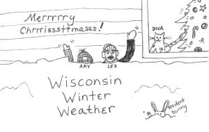 WIsc WInter 001